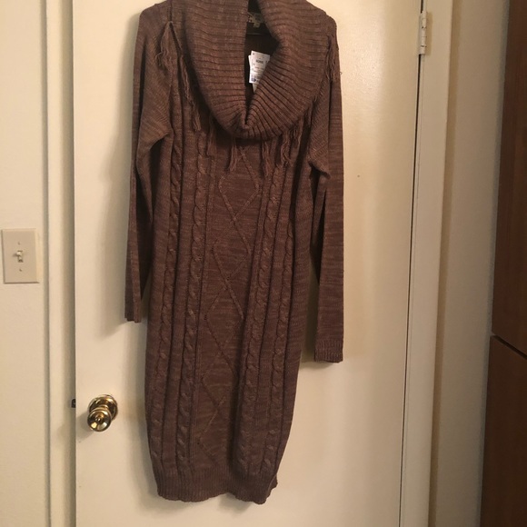 Pink Rose Dresses & Skirts - Pink Rose Cowlneck Sweater dress